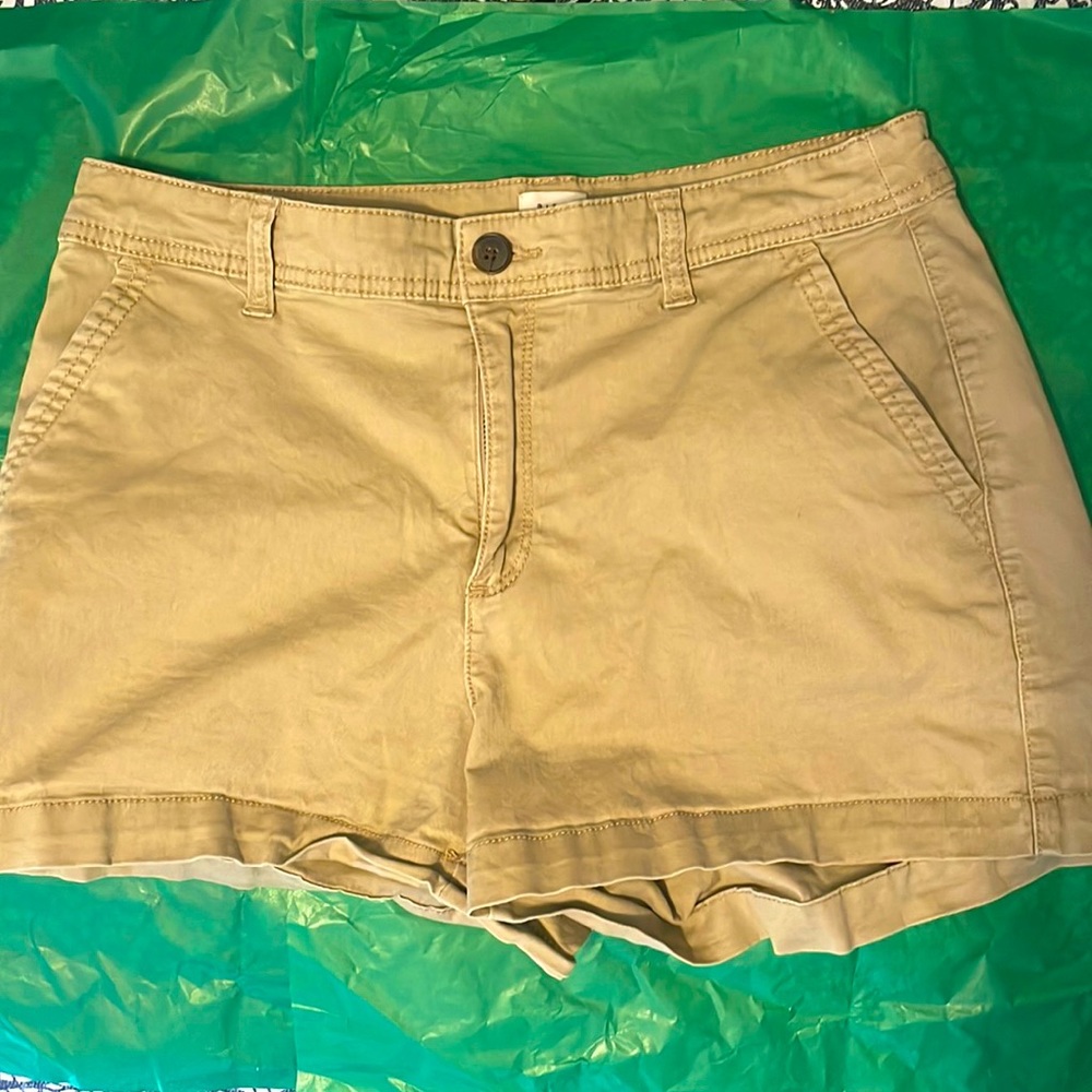Khaki shorts